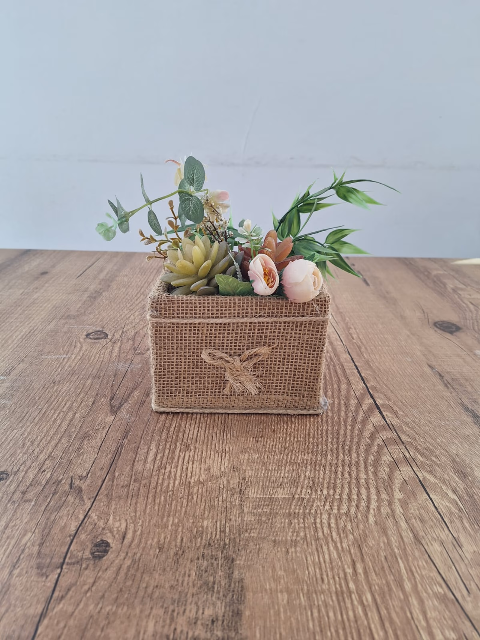 Cesto de suculenta